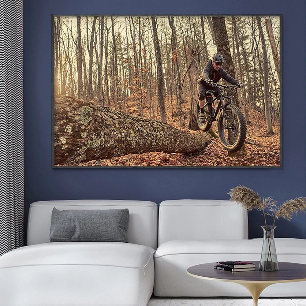 SP082 Silk Cloth Wall Poster M – Mountain Biking Movies recenzja i cena