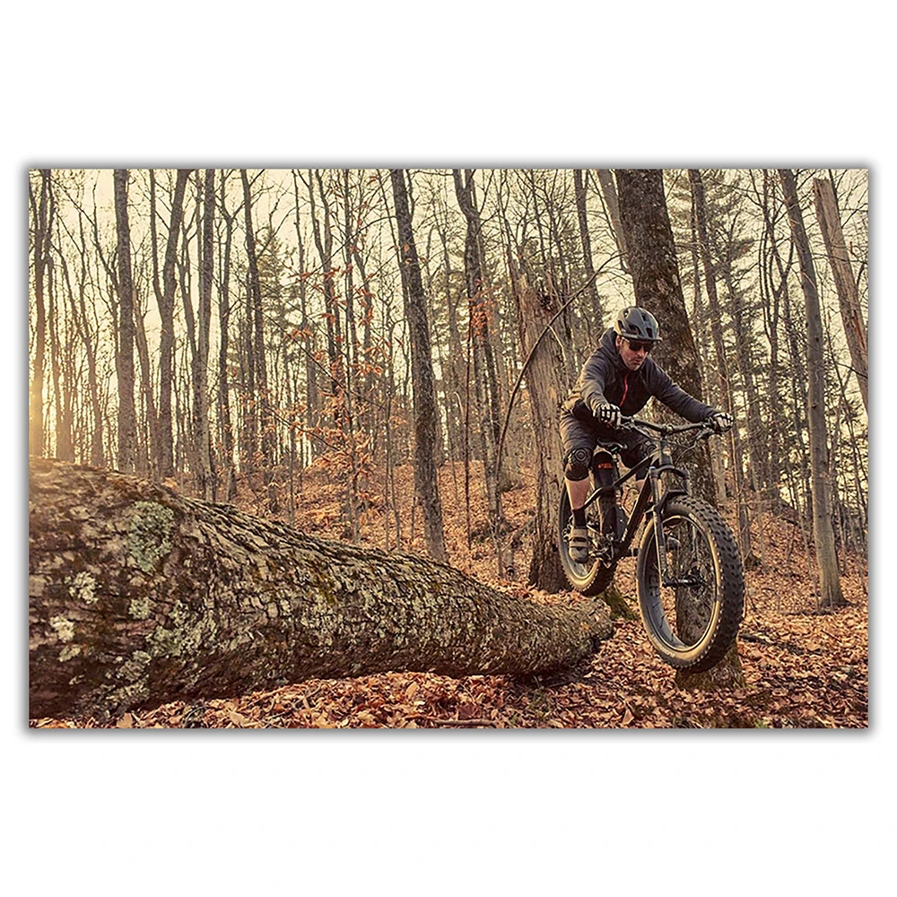 SP082 Silk Cloth Wall Poster M – Mountain Biking Movies recenzja i cena
