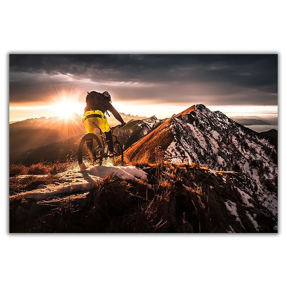 SP080 Silk Cloth Wall Poster M – Mountain Biking Movies recenzja i cena